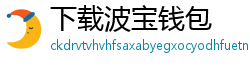下载波宝钱包
